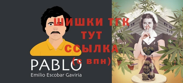 хмурый Ладушкин