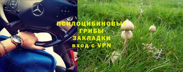 хмурый Ладушкин