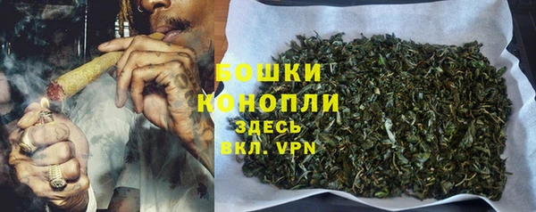 стаф Лабытнанги
