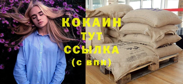 хмурый Ладушкин