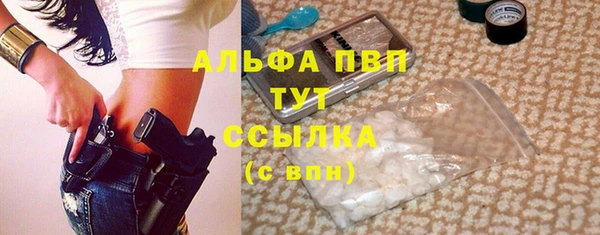 хмурый Ладушкин