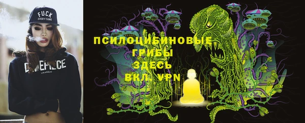 стаф Лабытнанги