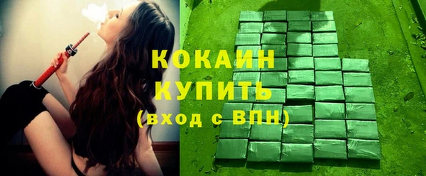 хмурый Ладушкин