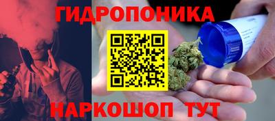 твердый Лесосибирск