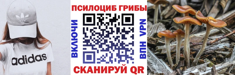 Галлюциногенные грибы ЛСД  Купить  Ефремов 