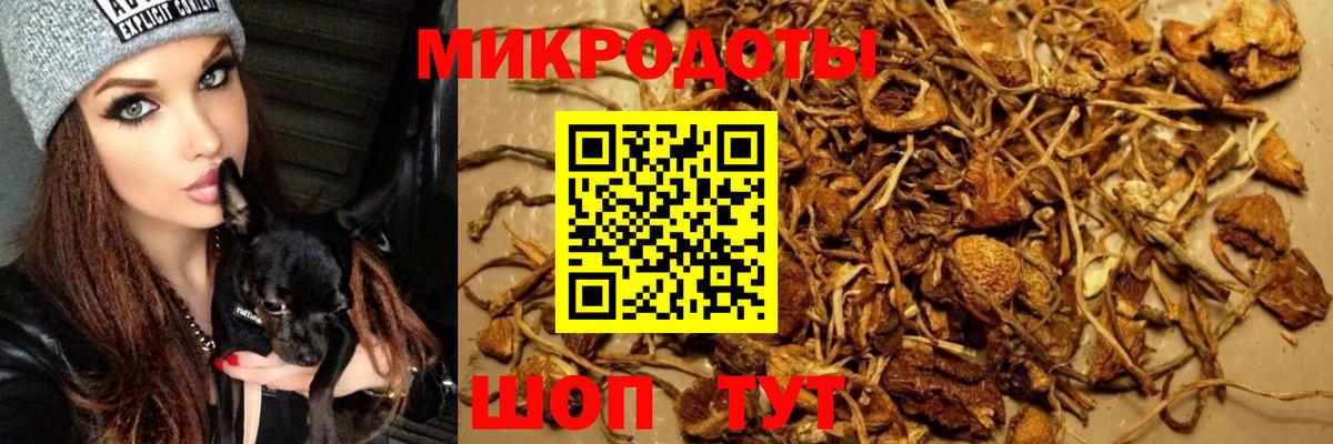 Галлюциногенные грибы Psilocybe  где купить наркоту  Ефремов  Псилоцибиновые грибы мицелий  Вход с VPN 