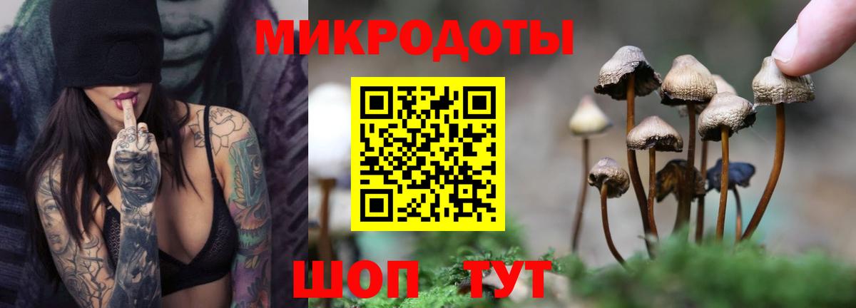 Галлюциногенные грибы GOLDEN TEACHER Ефремов